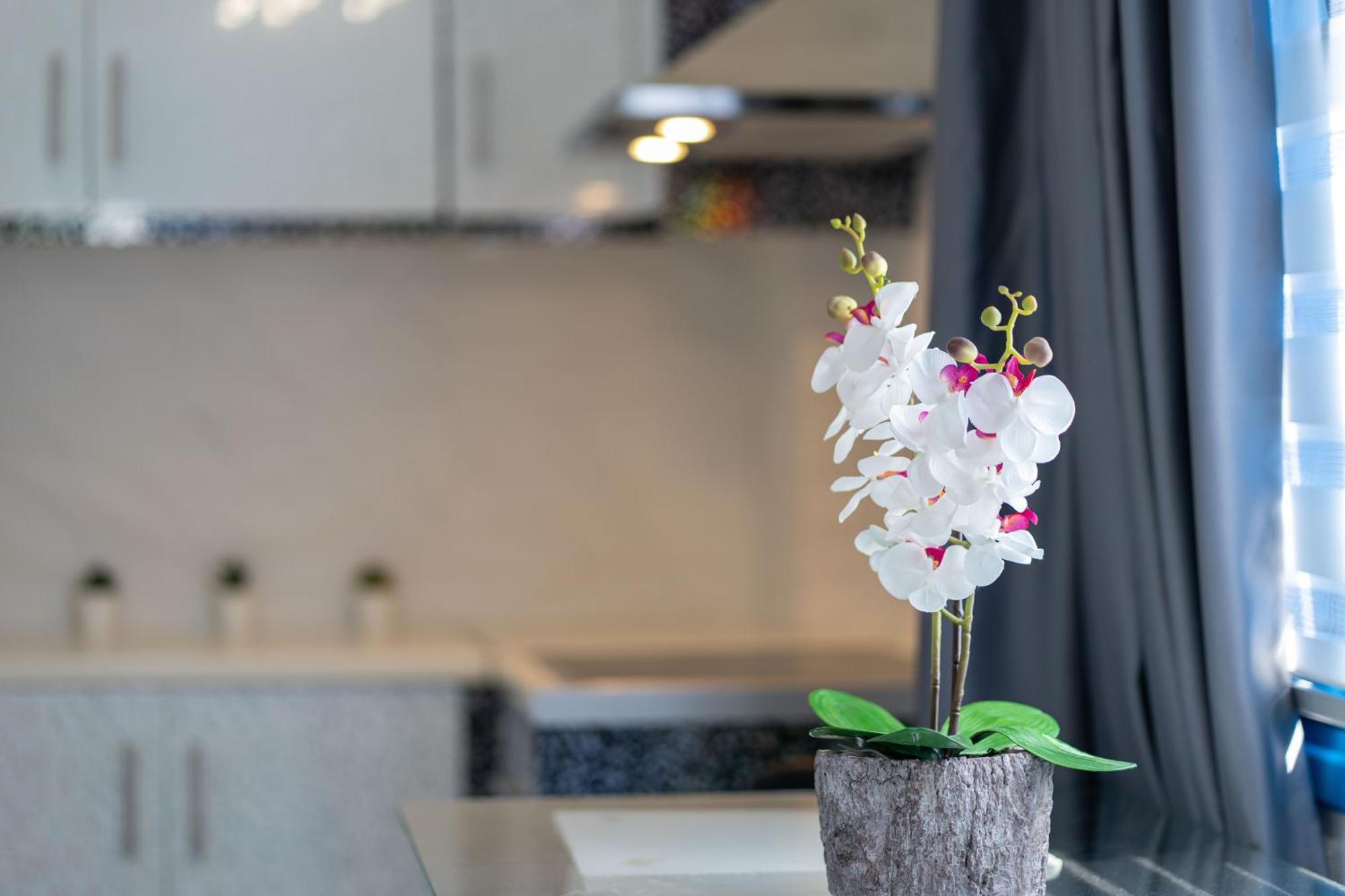 Santorita Suites Akrotírion エクステリア 写真